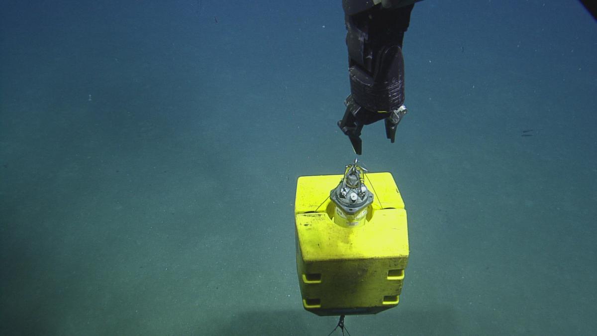 Shipwreck 15577 Dive Highlights July 19 | Nautilus Live