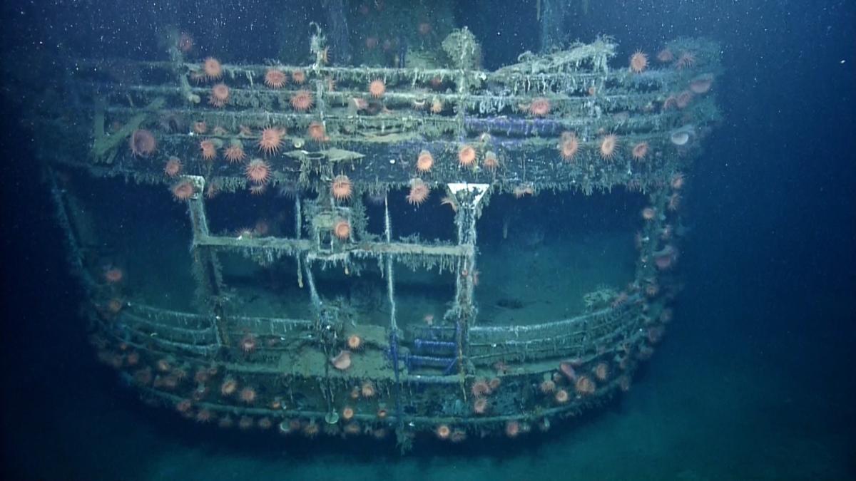 A Tale Of Two Wrecks U 166 And Ss Robert E Lee Nautilus Live