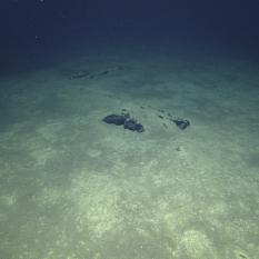 Unknown debris at the Eratosthenes C shipwreck