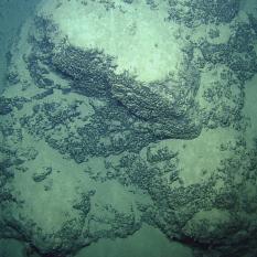 Large Rock Wall of Eratosthenes Seamount