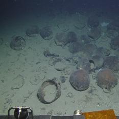 A different shipwreck yields different amphorae