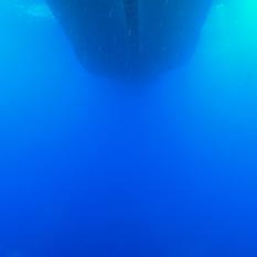 Underwater View
