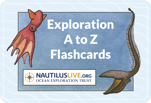 Flashcard title card with a vampire squid and gulper eel
