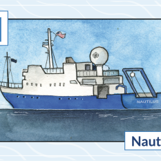 N is for Nautilus