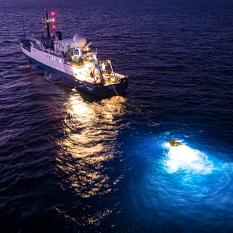 Diving Day or Night