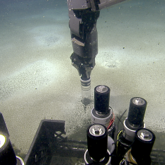 View of the seafloor with light grey and white bacterial mat punctuated by dark circles where the push core has been taken through the mat by the ROV manipulator arm in the frame