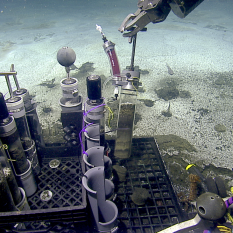 Seafloor scene with pushcores in the rack and one pushcore in the ROV manipulator claw with a purple tube of fixative attached to the top of the core