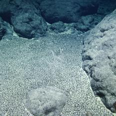 rock nodules