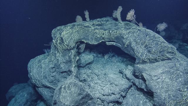 Volcanic cave covered in corals