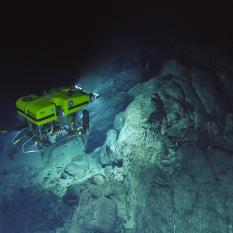 Image from Argus showing ROV Hercules looking at rocks