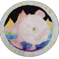 pink fish with mapping behind it design