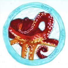 Octopus close up design