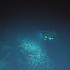 ROV Hercules Exploring Sea Floor