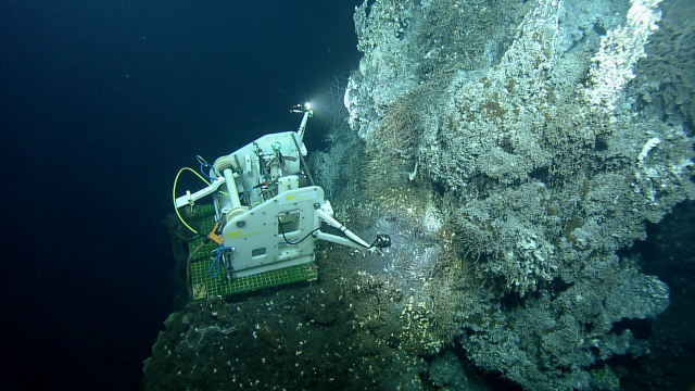 The tempo-mini is a high-resolution camera mounted on a platform to allow continuous monitoring of a hydrothermal vent community. 