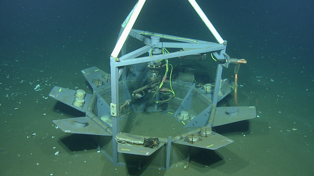 A nonagonal platform designed by ONC to observe how kelp, mycelium, and wood decay over time in a deep-sea environment. Mounted in the middle is a high resolution camera and lights which turn on every hour to record the different samples. This platform is part of a larger marine carbon dioxide removal technology research project. 