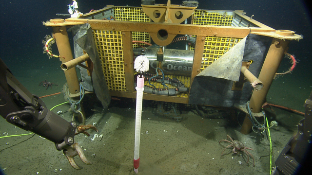 The “Modified Extended Toilet Brush of Science” (METBOS) is a highly sophisticated toilet brush that is used to clean various instruments, such as camera lenses, deployed in the deep-sea. 