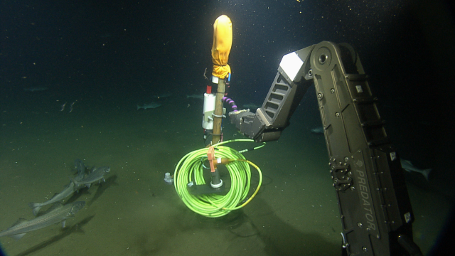 A hydrophone is a device that detects and records sound from all directions underwater. 