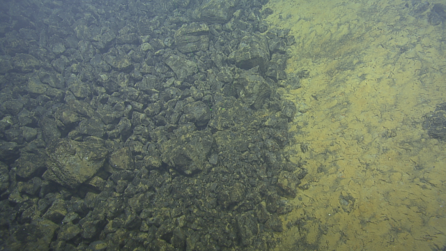 Visibility on Toto Caldera was low due to the abundance of sulfur emitted from the hydrothermal vents. The accumulating sulfur sediment (right) is in contrast to the lava rocks (left) that likely slid down a talus slope.   