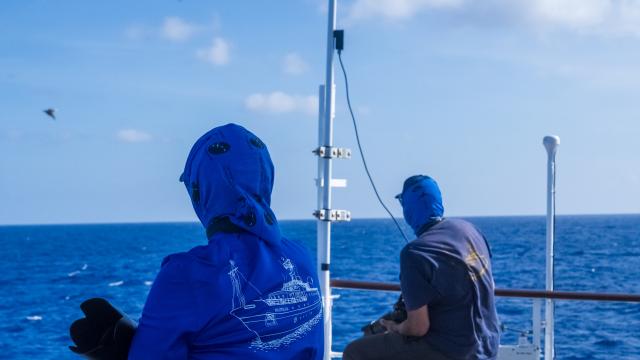 Two people sit on the monkey deck of an exploration vessel, facing the open ocean under a blue sky with scattered clouds. Both wear bright blue face coverings and shirts for sun protection. The person in the foreground wears a shirt with a white line drawing of the E/V Nautilus ship on the back. The person in the background sits near a railing and faces the horizon. A brown boobie bird is visible flying over the ocean on the left side of the image. 