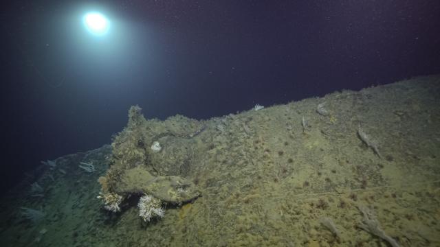 Remotely operated vehicles image the bow of USS New Orleans for the first time in over eighty years since its sinking. 