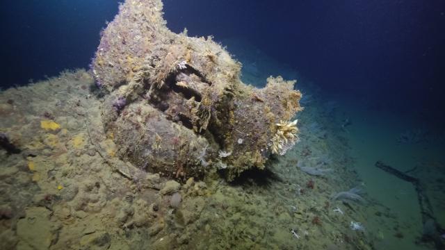 The unique structure and stamps on the base of the anchor, with “Navy Yard” visible through the marine growth, helped confirm the identity of the USS New Orleans’ bow.