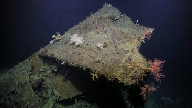 Hull paint remains visible on the bow of the USS New Orleans eight decades after it was severed from the ship during the World War II naval battles of Guadalcanal.  