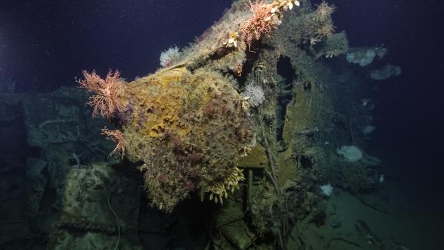 Led by OET President and famed explorer Dr. Robert Ballard, the Maritime Archaeology of Guadalcanal expedition, exploring historically significant shipwrecks in the Iron Bottom Sound, is supported by NOAA Ocean Exploration via the Ocean Exploration Cooperative Institute. 