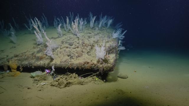 The team spent four hours imaging the site with onboard archaeologists and experts from all former combatant nations contributing via livestreaming telepresence. Together, this team spotted details in the ship’s structure, painting, and anchor to positively identify the wreckage as New Orleans.  