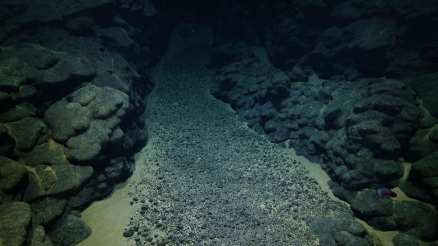  rounded pillows and extended lobate lava flows are evidence of ancient volcanoes. They have been coated with a type of rock called iron-manganese (Fe-Mn) crust. A small depression between the landforms has filled with sediment and is topped by a layer of small manganese nodules. 