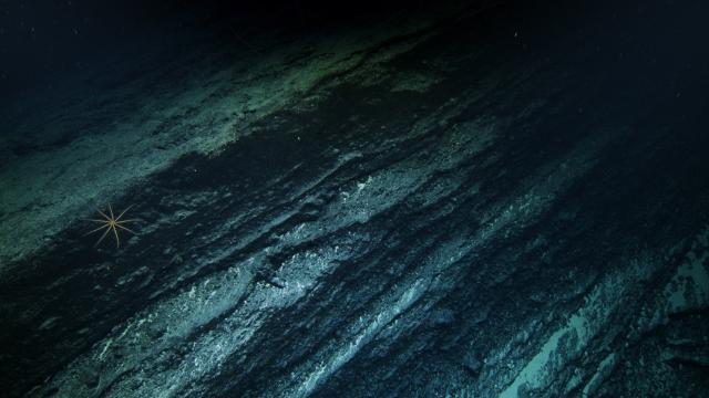 Flat-lying sedimentary layers on the seafloor produce unique patterns as erosion creates irregular surfaces that expose them in cross-section.
