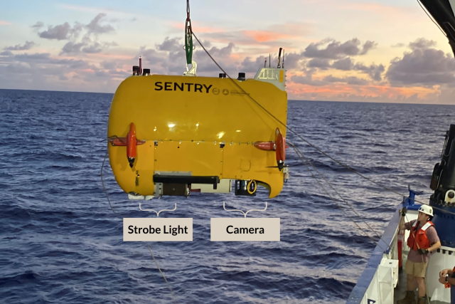 ROV Sentry on launch annotates to show downward facing camera and strobe light