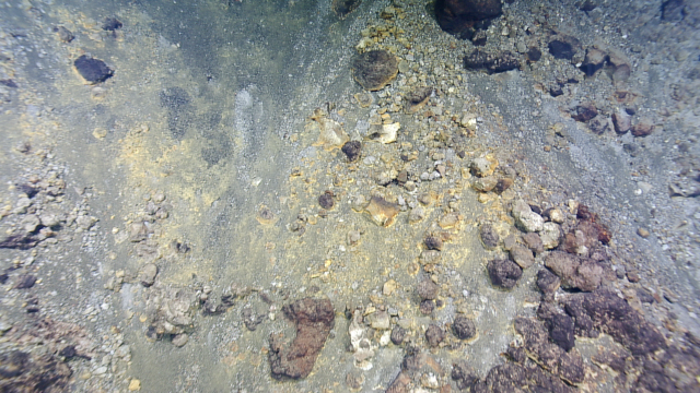 Ruby seamount sediment