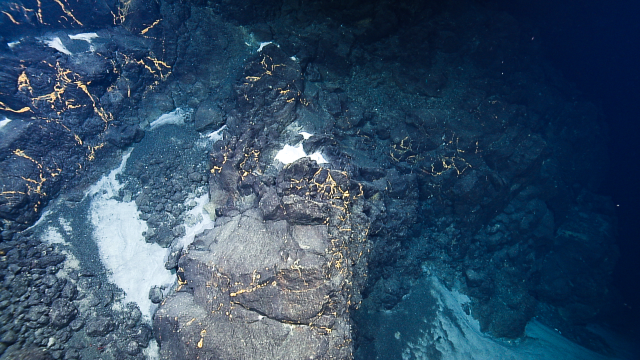 Rocky seafloor of Ruby seamount