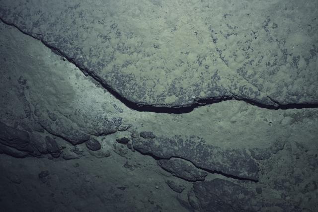 Sentry downward facing view of hard rock seafloor