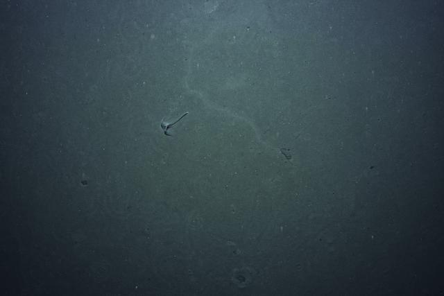 seafloor image