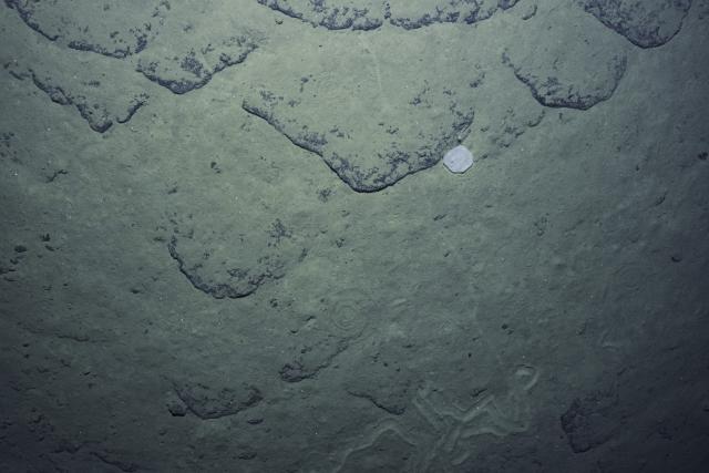 seafloor image