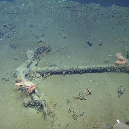 Anchor of Shipwreck