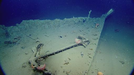 Bow of Shipwreck