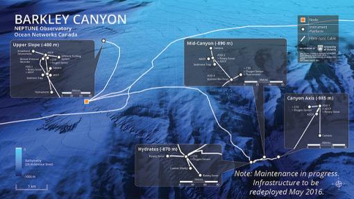 Schematic image of Barkley Canyon network