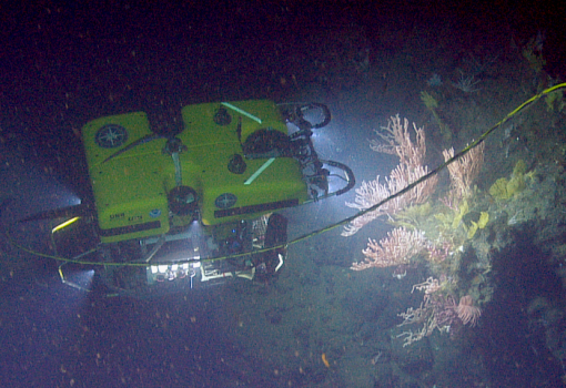 ROV Hercules diving in CINMS