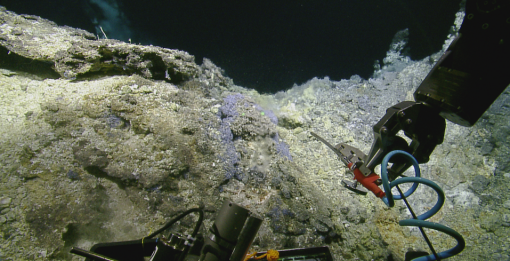 ROV Hercules manipulator arm