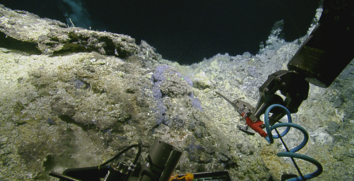 ROV Hercules manipulator arm 