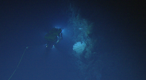 ROV Hercules, seen from above