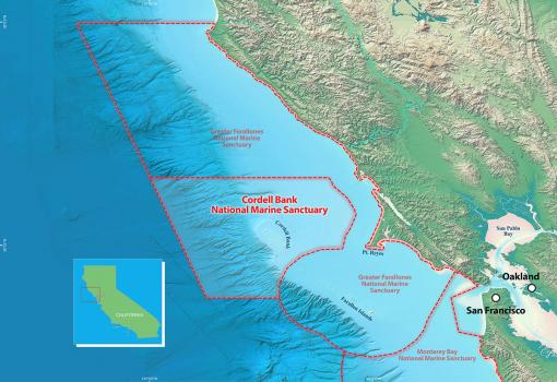 Finding Sanctuary  Office of National Marine Sanctuaries