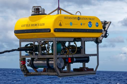 ROV Little Hercules