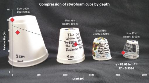 Styrofoam cups compressed by ocean depth