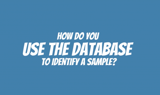 Placecard - How do you use the database to identify a sample?