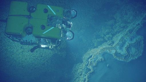 ROV Hercules surveys brine pool