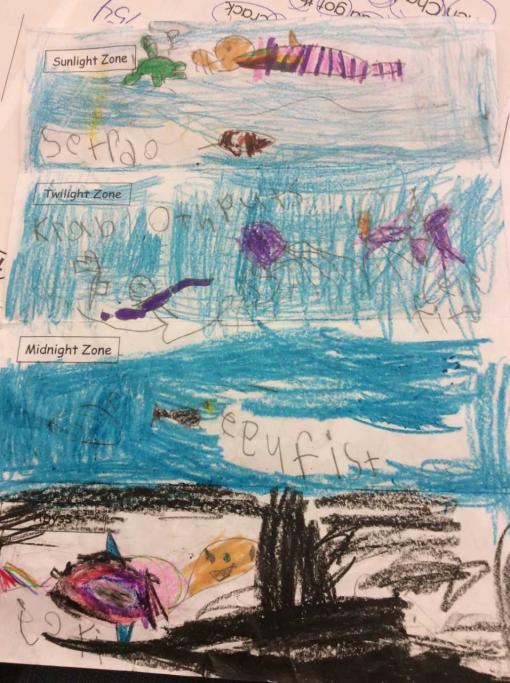 Student work example for Ocean Zone lesson