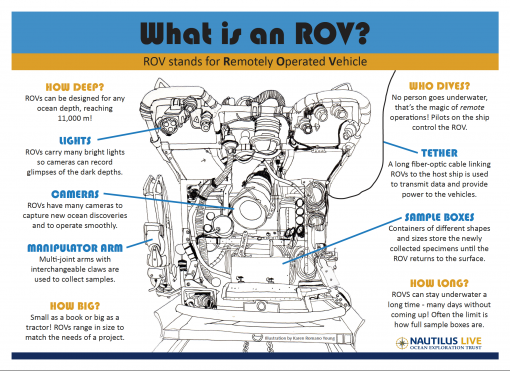 What is an ROV infographic
